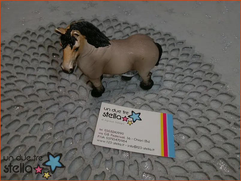 5524/26 - Cavallo SCHLIECH
