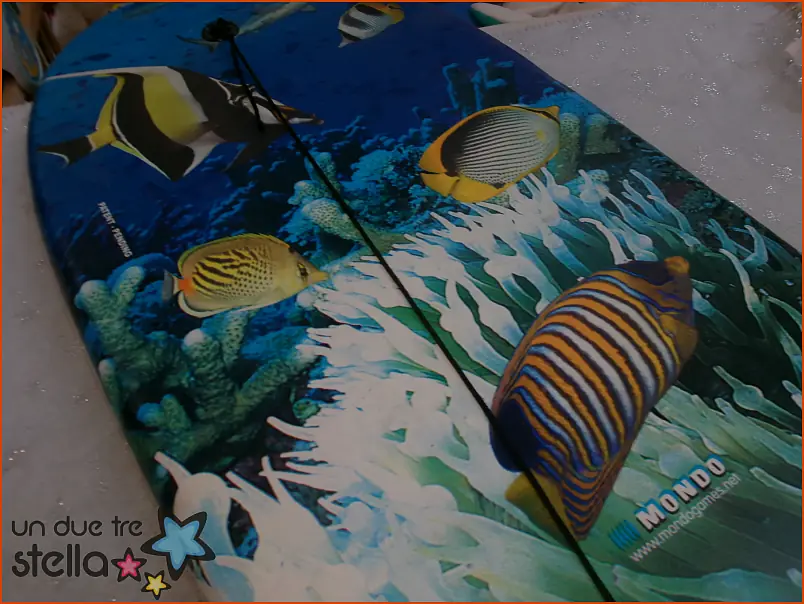5604/26 - Tavola da SURF bambini squalo